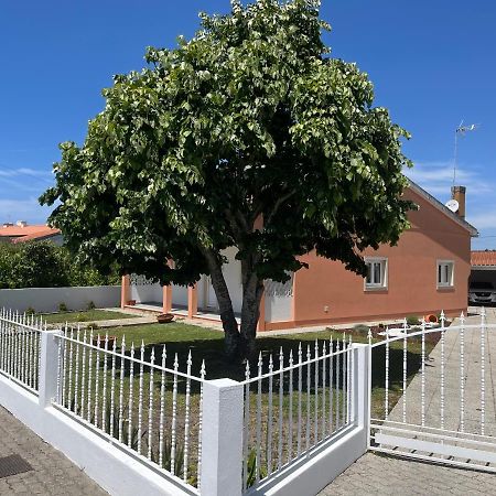 Moradia Alegre No Centro Da Vila Da Tocha. Exteriör bild