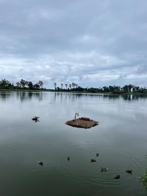 Moradia Alegre No Centro Da Vila Da Tocha. Exteriör bild